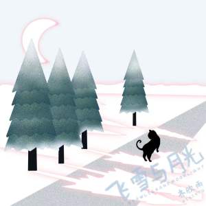 Album 飞雪与月光 from 齐欣雨