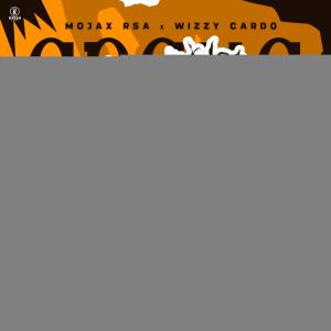 Listen to Spana Cash (feat.Tee Cee SA) song with lyrics from Wizzy Cardo