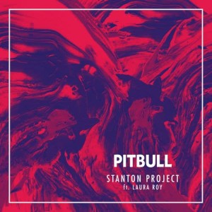 ดาวน์โหลดและฟังเพลง Pitbull พร้อมเนื้อเพลงจาก Stanton Project