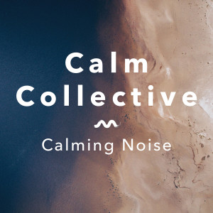 อัลบัม Calming Noise ศิลปิน Calm Collective