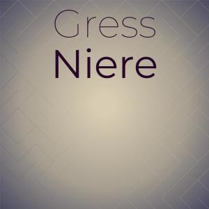 Listen to Admittance Slather song with lyrics from Iree Dagi