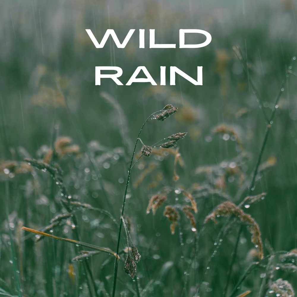 Wild Rain