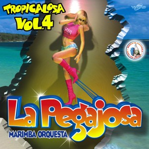 Marimba Orquesta La Pegajosa的專輯Tropicalosa Vol. 4. Música de Guatemala para los Latinos
