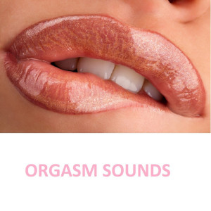 收听Sex Sounds的Orgasm Sounds (Explicit)歌词歌曲