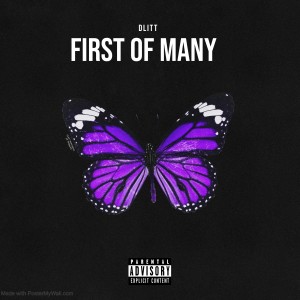 ดาวน์โหลดและฟังเพลง First Of Many (Explicit) พร้อมเนื้อเพลงจาก Dlitt