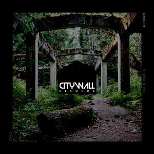 ดาวน์โหลดและฟังเพลง In the Jungle (Mix 4) พร้อมเนื้อเพลงจาก Nelman