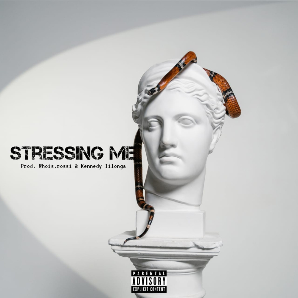 Stressing Me (Explicit)