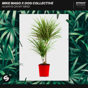 ดาวน์โหลดและฟังเพลง Always On My Mind พร้อมเนื้อเพลงจาก Dog Collective