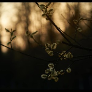 收听Relaxing Music的River Flows In You歌词歌曲