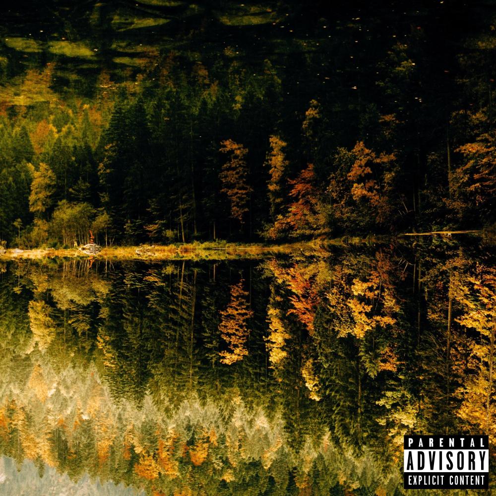 Failed to Connect (feat. FAD & Lo-Key) (Explicit)