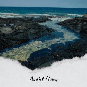 Aught Hump dari Various