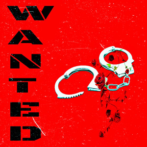 Album Wanted from 