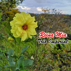 Dengarkan lagu Eres Ajena nyanyian Trío Imperial dengan lirik