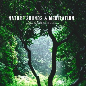 Meditation Nature Sounds的專輯Nature Sounds & Meditation