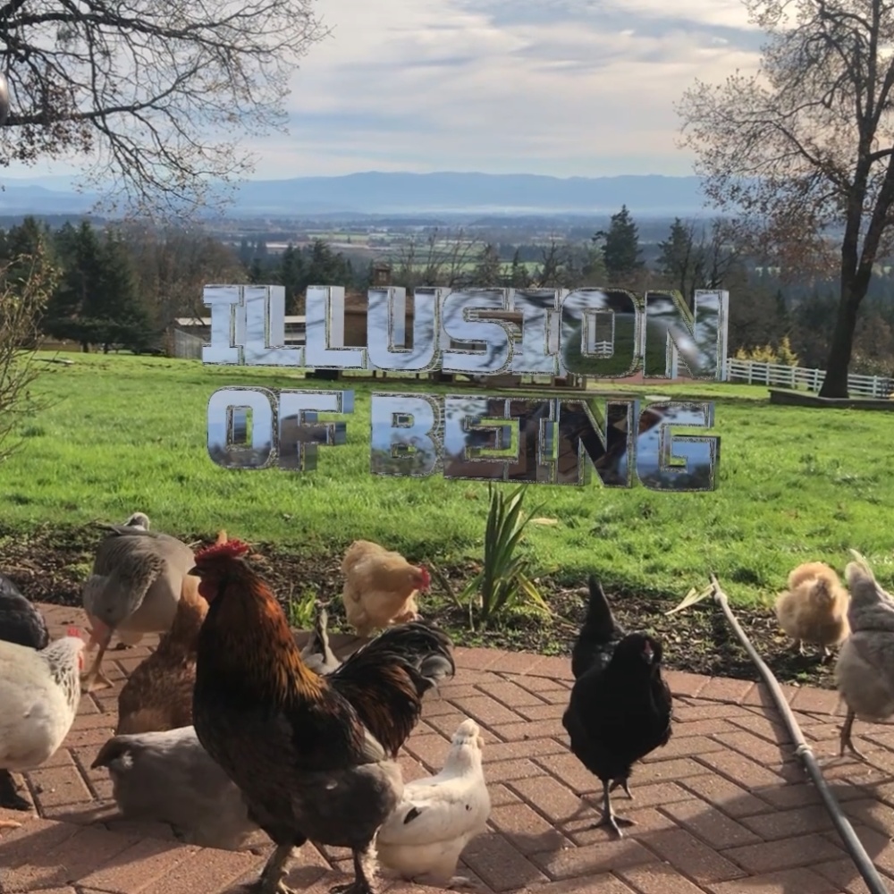 Illusion of Being (Explicit)