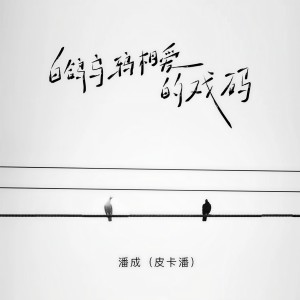 收聽潘成的白鴿烏鴉相愛的戲碼 (降速調0.9X)歌詞歌曲