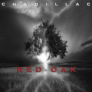 ดาวน์โหลดและฟังเพลง Moved On พร้อมเนื้อเพลงจาก Chadillac