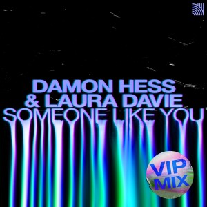 Damon Hess的專輯Someone Like You (VIP Mix)