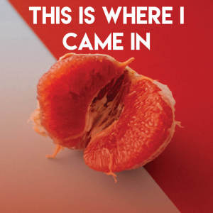 ดาวน์โหลดและฟังเพลง This Is Where I Came in พร้อมเนื้อเพลงจาก Countdown Singers