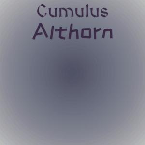 ดาวน์โหลดและฟังเพลง Colorado Puniceous พร้อมเนื้อเพลงจาก Rery Buick
