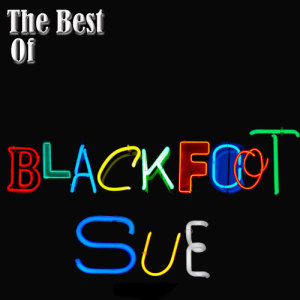 ดาวน์โหลดและฟังเพลง Standing In The Road พร้อมเนื้อเพลงจาก Blackfoot Sue