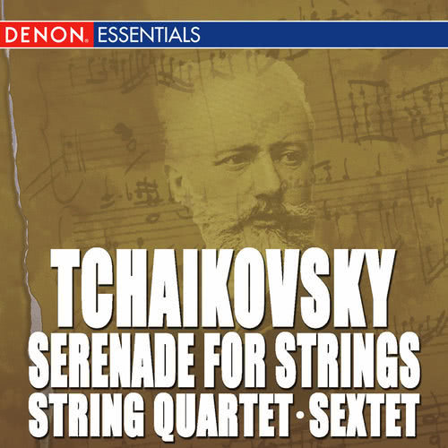 Sextet for Strings in D Minor, Op. 70: III. Allegretto moderato