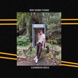 ดาวน์โหลดและฟังเพลง (I Don't Know) "What You Heard" About Me พร้อมเนื้อเพลงจาก Cameron Meza