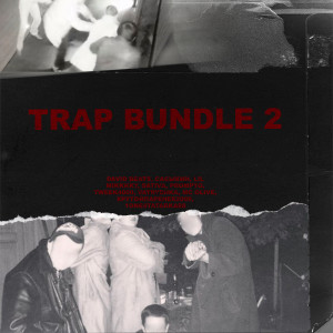 Album Trap Bundle 2 from Various