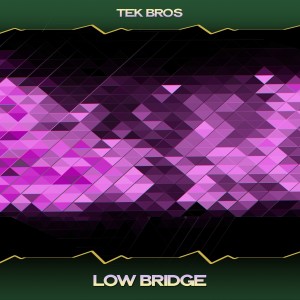 Tek Bros的专辑Low Bridge
