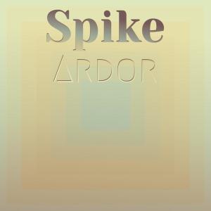 Listen to Spike Ardor song with lyrics from Eran Btee