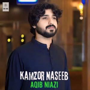Listen to Kamzor Naseeb song with lyrics from Aqib Niazi