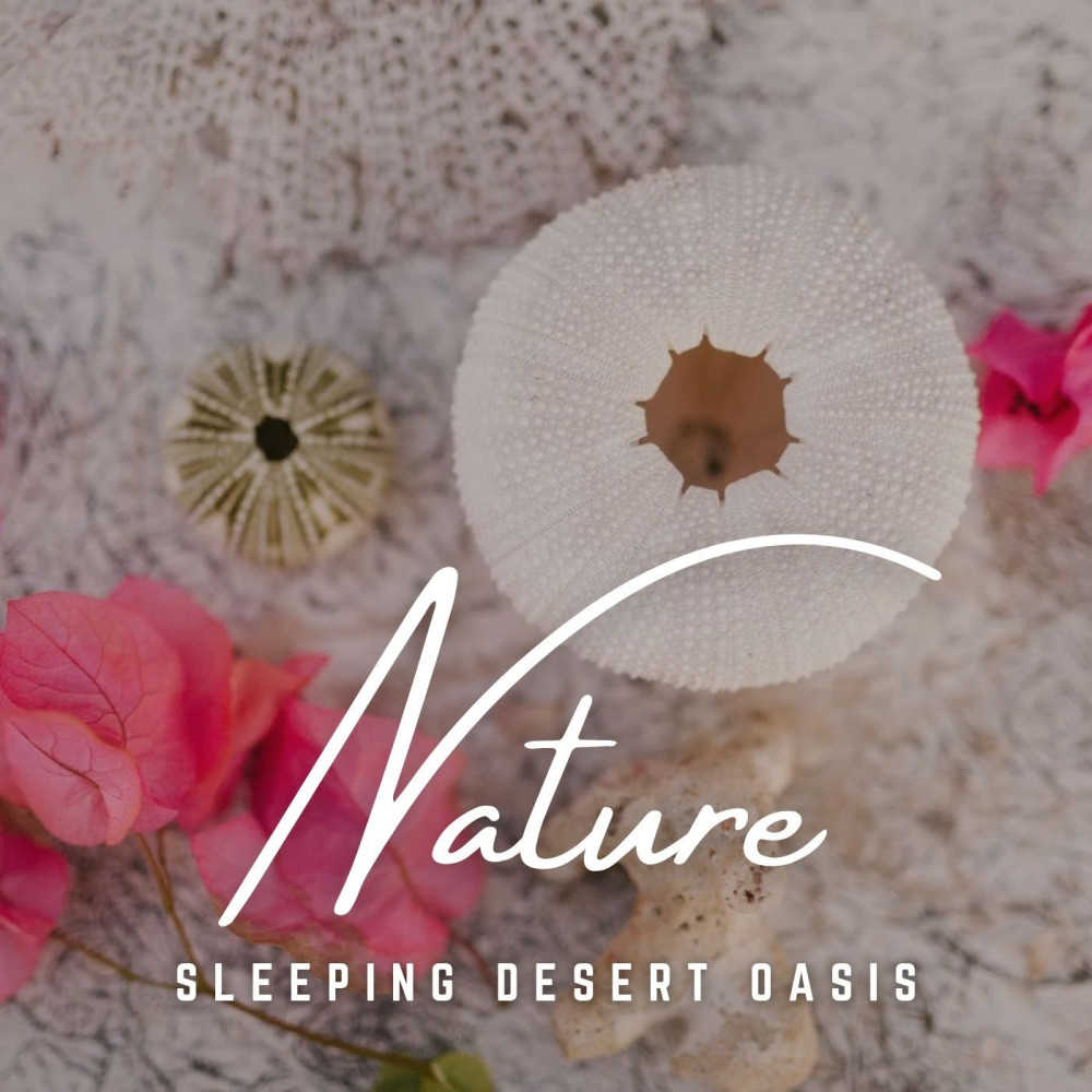 Desert's Dreams of Sleep