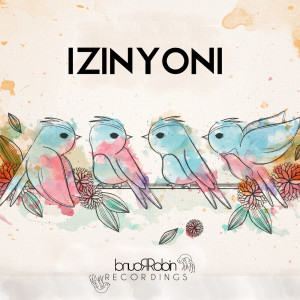 Various的专辑IZINYONI