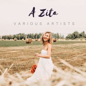 Listen to A zita song with lyrics from Li Canzunari