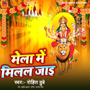 Listen to Mela Me Milal Jayi song with lyrics from Rohit Dubey