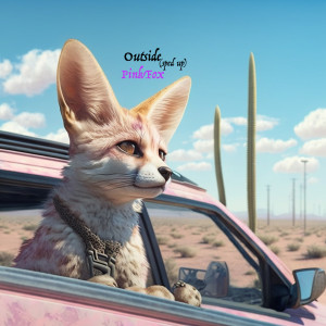 Album Outside (Sped Up) (Explicit) oleh PinkFox