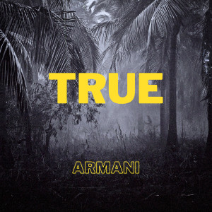 Listen to True (Explicit) song with lyrics from Armani