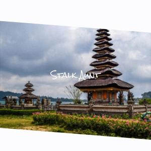 Various的专辑Stalk Aunt