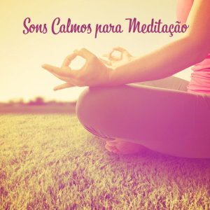 Listen to Yoga em Casa song with lyrics from Meditação Música Ambiente
