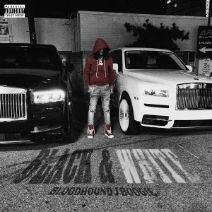 收聽Bloodhound J Boogie的Black & White (Explicit)歌詞歌曲