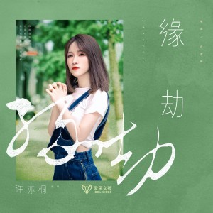 Listen to 缘劫 (伴奏) song with lyrics from 许亦桐