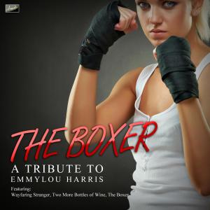 ดาวน์โหลดและฟังเพลง Two More Bottles of Wine (其他) พร้อมเนื้อเพลงจาก Ameritz Tribute Club