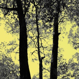 ดาวน์โหลดและฟังเพลง Breath Of Light Remains พร้อมเนื้อเพลงจาก Primitive Motion
