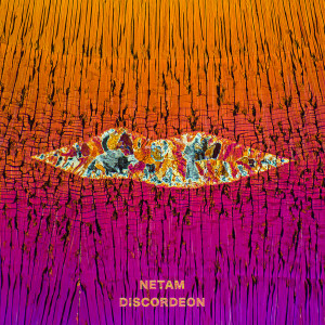 Album Discordeon from 