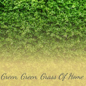 收听Billy Vaughn & his Orchestra的Green, Green, Grass of Home歌词歌曲