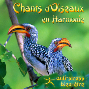 收聽Dominique Bouvier的Les Parades Somptueuses歌詞歌曲
