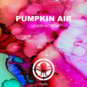 Album Learn More from Pumpkin Air