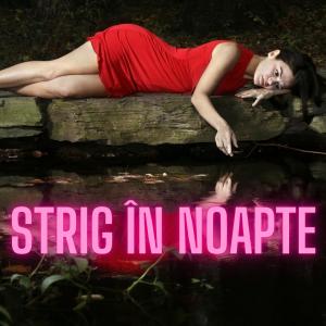 อัลบัม Strig în noapte (feat. ALEYA & Razor) ศิลปิน LeulNordului