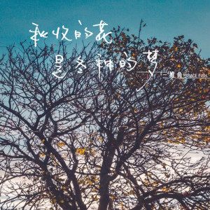 收聽三維魚樂隊的秋收的花是冬種的夢歌詞歌曲