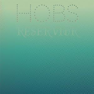 Various Artists的專輯Hobs Reservior